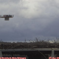 12_50-mast.jpg