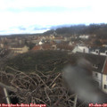 12_55-nest.jpg