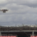13_00-mast.jpg