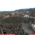 13_05-nest.jpg