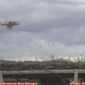 13_10-mast.jpg