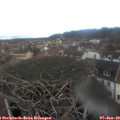 13_10-nest.jpg