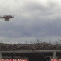 13_20-mast.jpg
