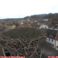13_20-nest.jpg
