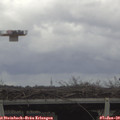 13_25-mast.jpg