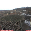13_25-nest.jpg
