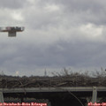 13_30-mast.jpg