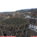 13_35-nest.jpg