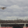 13_40-mast.jpg