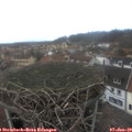 13_40-nest.jpg