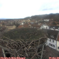 13_50-nest.jpg