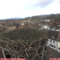 13_55-nest.jpg