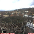 14_00-nest.jpg