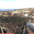 14_05-nest.jpg