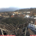 14_10-nest.jpg