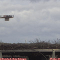 14_15-mast.jpg