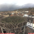 14_15-nest.jpg