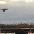 14_20-mast.jpg