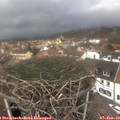 14_20-nest.jpg