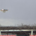 14_35-mast.jpg