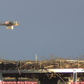14_55-mast.jpg