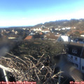14_55-nest.jpg
