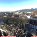 15_00-nest.jpg