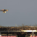 15_05-mast.jpg