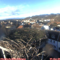 15_05-nest.jpg