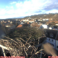 15_10-nest.jpg