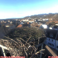 15_20-nest.jpg