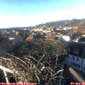 15_25-nest.jpg
