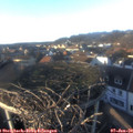 15_30-nest.jpg
