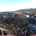 15_35-nest.jpg