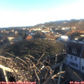 15_40-nest.jpg