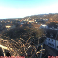 16_00-nest.jpg