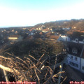 16_05-nest.jpg
