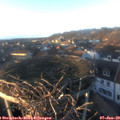 16_10-nest.jpg