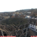 16_15-nest.jpg
