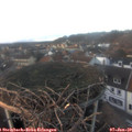 16_20-nest.jpg