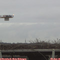 08_25-mast.jpg