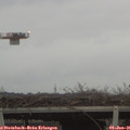 08_30-mast.jpg