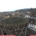 08_30-nest.jpg