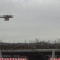 08_45-mast.jpg
