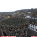 08_45-nest.jpg