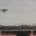 08_55-mast.jpg