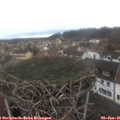 09_00-nest.jpg