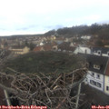 09_05-nest.jpg