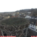 09_10-nest.jpg