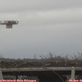 09_15-mast.jpg